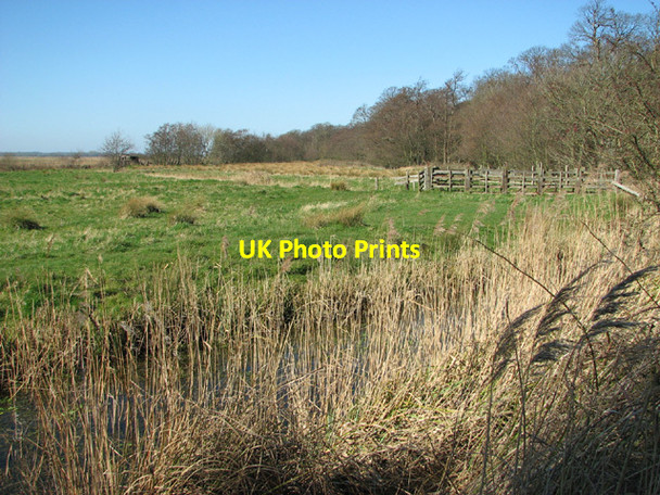 Photo 6"x4" Pasture in Somerleyton Marshes Herringfleet c2014