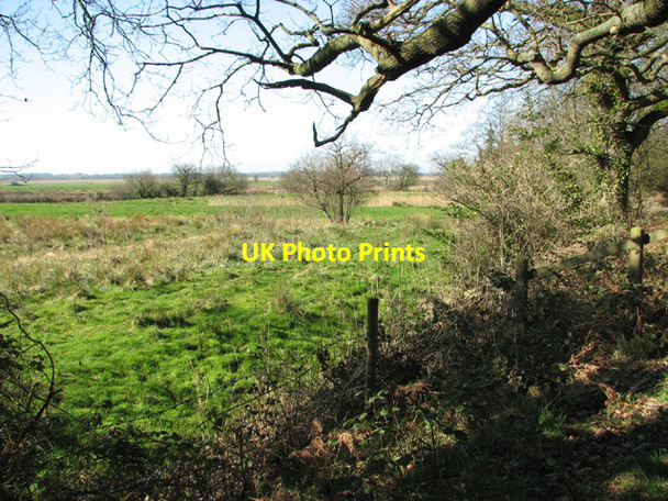 Photo 6"x4" View towards the Somerleyton Marshes Herringfleet c2014