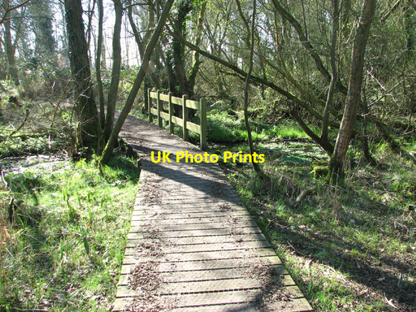 Photo 6"x4" Bridge over ditch in Warren Carrs Camps Heath c2014