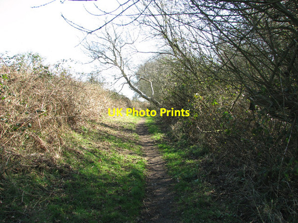 Photo 6"x4" Footpath past Warren Carrs Camps Heath c2014