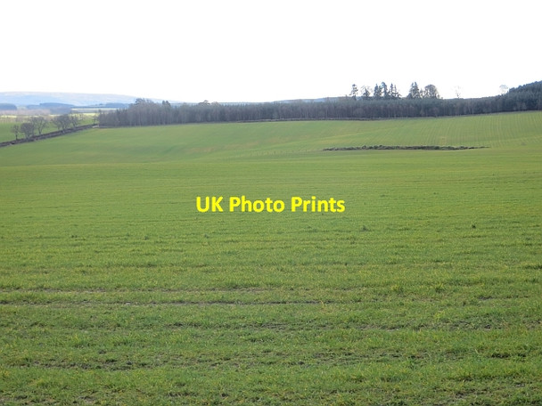 Photo 6"x4" Arable land, Glendouglas Bairnkine c2014
