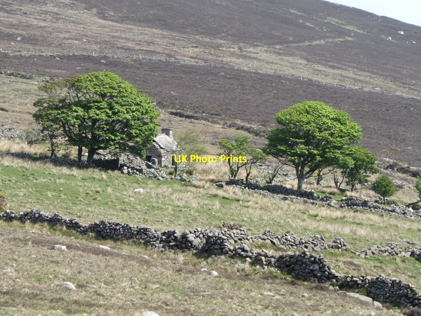 Photo 6"x4" Abandoned moorland edge homestead above Glasdrumman Annalong c2011