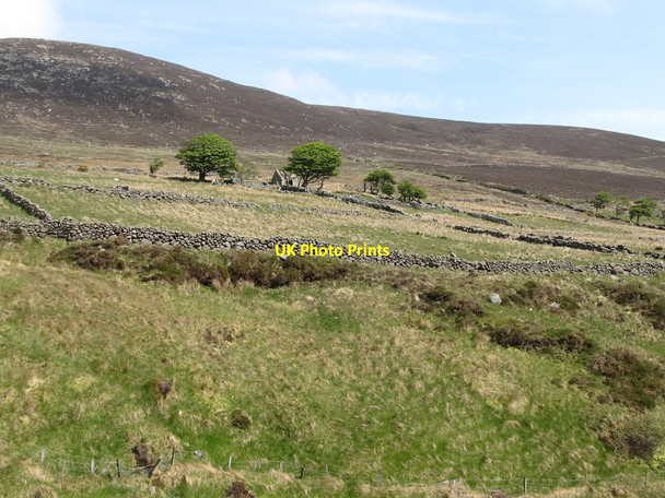 Photo 6"x4" Nineteenth century colonisation of moorland on the slopes of Spences Mountain Annalong c2011