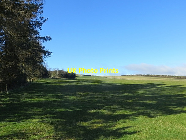 Photo 6"x4" Field, Ashtrees Bairnkine c2014