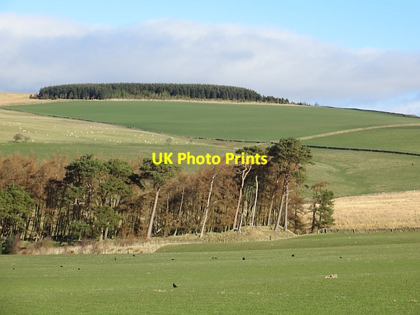 Photo 6"x4" Iron Castle Chesters\/NT6210 c2014