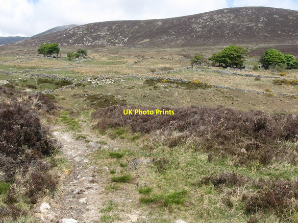 Photo 6"x4" Two derelict homesteads in the upper reaches of the Spences Valley Annalong c2011