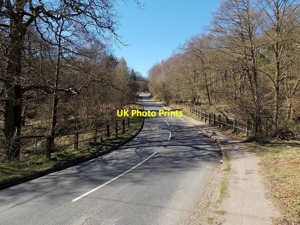 Photo 6"x4" West towards Bream from Whitecroft Eave c2014