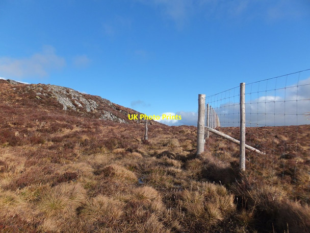 Photo 6"x4" Deer fence, Rogie Forest Craigdarroch\/NH4457 c2014