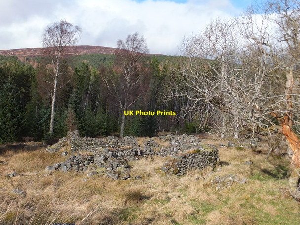 Photo 6"x4" Ruined buildings, Rogie Craigdarroch\/NH4457 c2014