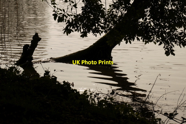 Photo 6"x4" The lake at Coughton Court, 1 Coughton\/SP0760 c2014