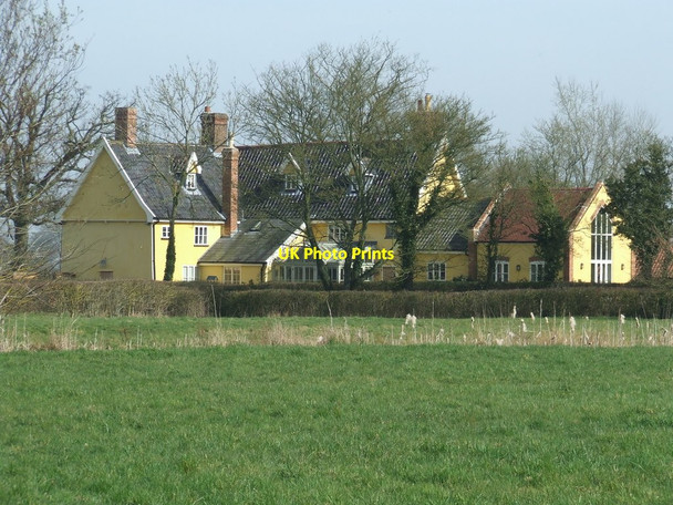 Photo 6"x4" Moat Farm Foals Green c2014