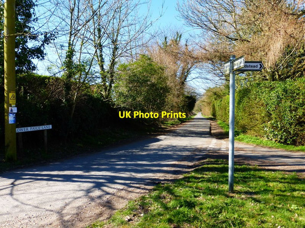 Photo 6"x4" Looking west on Lower Paice Lane West End\/SU6335 c2014