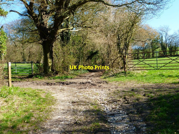 Photo 6"x4" Restricted byways cross west of Gullet Wood North Street\/SU6433 c2014