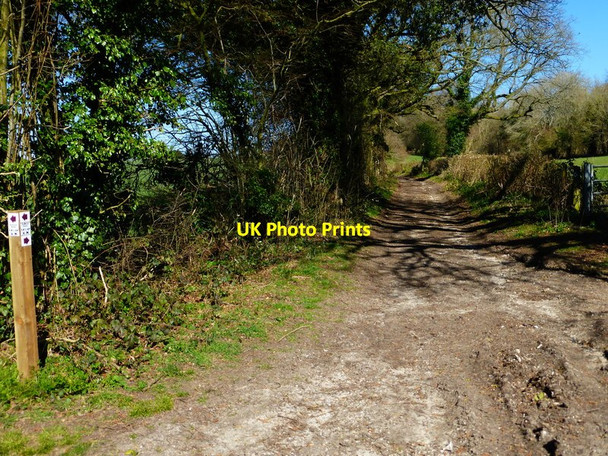 Photo 6"x4" Rookwood Lane looking north from Gullet Lane North Street\/SU6433 c2014