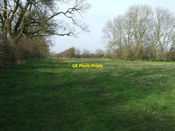 Photo 6"x4" Long Meadow Brundish\/TM2769 c2014