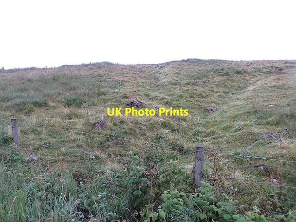 Photo 6"x4" Rough grazing near Cargan Martinstown\/D1314 c2013