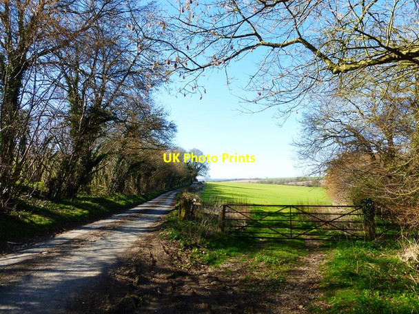 Photo 6"x4" Field entrance on Parkside Lane Ropley Dean c2014