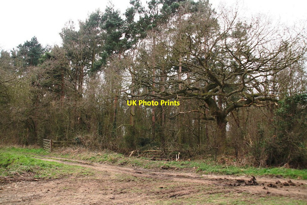 Photo 6"x4" Footpath diversion West Drayton\/SK7074 c2014