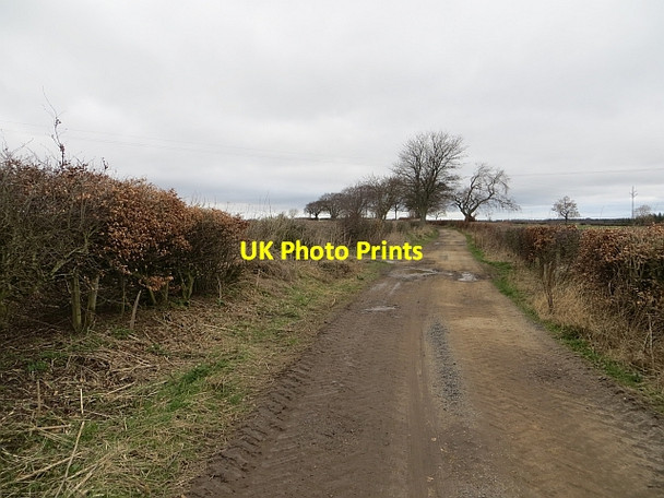 Photo 6"x4" Green Lane, Upper Keith Humbie\/NT4562 c2014