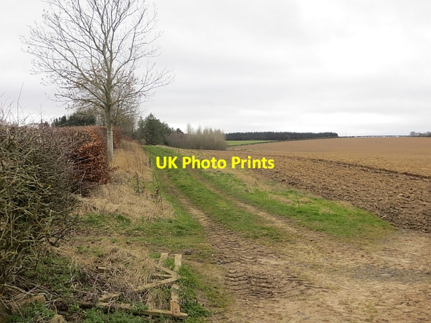 Photo 6"x4" Fields near Humbie Humbie\/NT4562 c2014