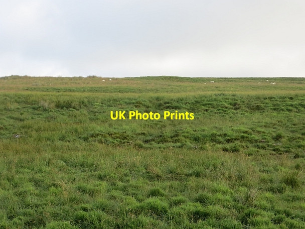 Photo 6"x4" Rough grazing, Tullykittagh Clogh\/D0914 c2013