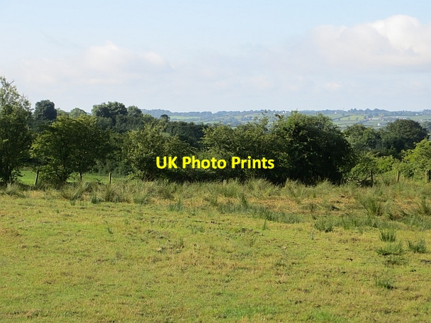 Photo 6"x4" Field off Springmount Road Clogh\/D0914 c2013