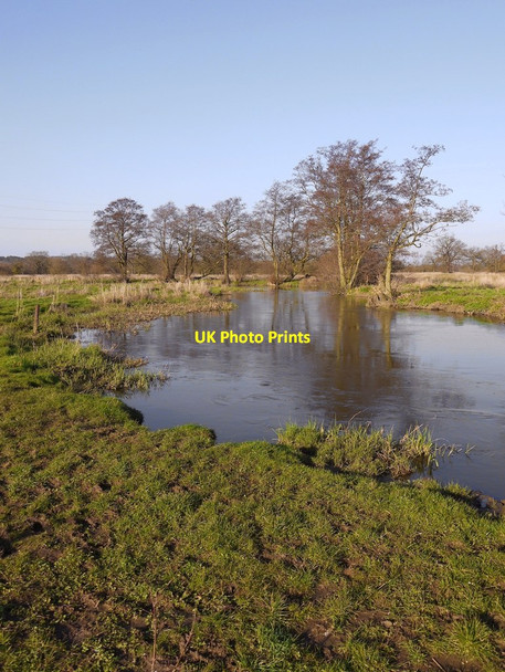 Photo 6"x4" The meandering River Wey Pyrford Green c2014