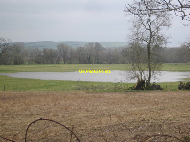 Photo 6"x4" Flooded Field near Woodside Farm Glencaple\/NX9968 c2014