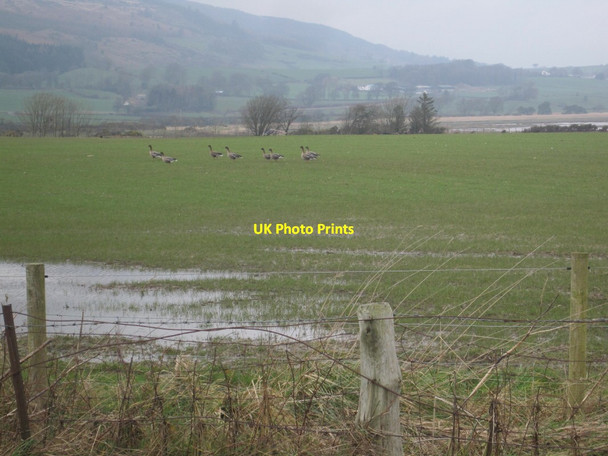 Photo 6"x4" Wet Farmland near Carsethorn Kirkbean c2014