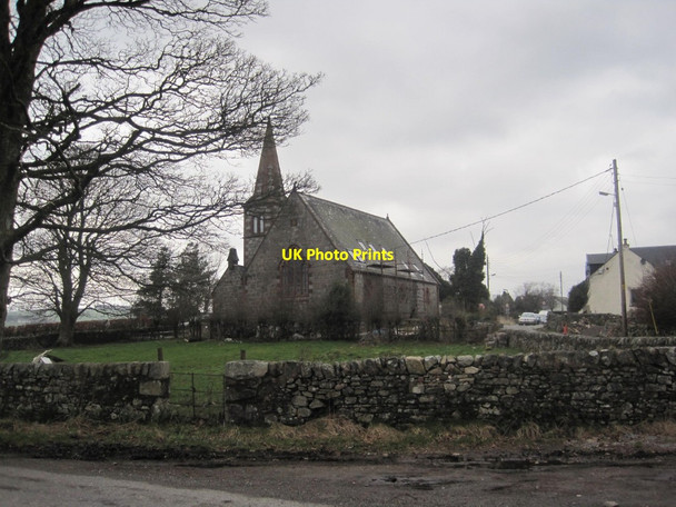 Photo 6"x4" Beeswing Kirk Beeswing c2014