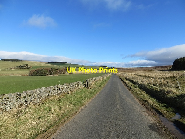 Photo 6"x4" Minor road, Belling Hill Chesters\/NT6210 c2014