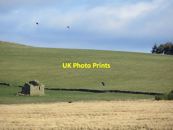 Photo 6"x4" Kilnsike Tower Bairnkine c2014