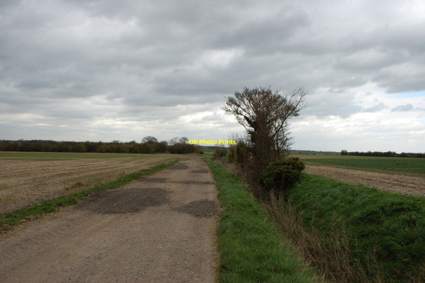 Photo 6"x4" Bridleway to Mucking Hall Stonebridge\/TQ9188 c2014