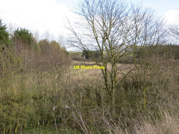 Photo 6"x4" Field by the A34 Chilton\/SU4885 c2014