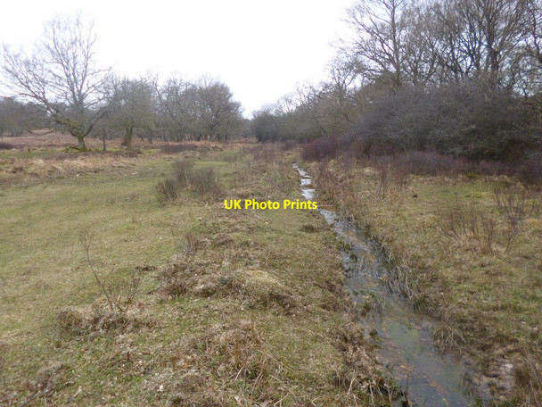 Photo 6"x4" Bratley, ditch Stoney Cross c2014