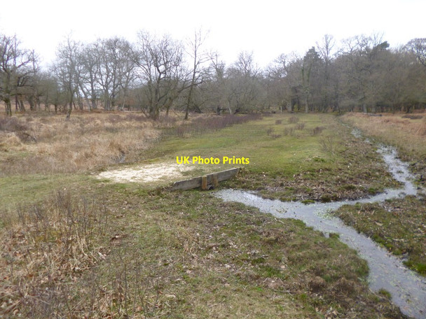 Photo 6"x4" Bratley, bridge Bratley Inclosure c2014