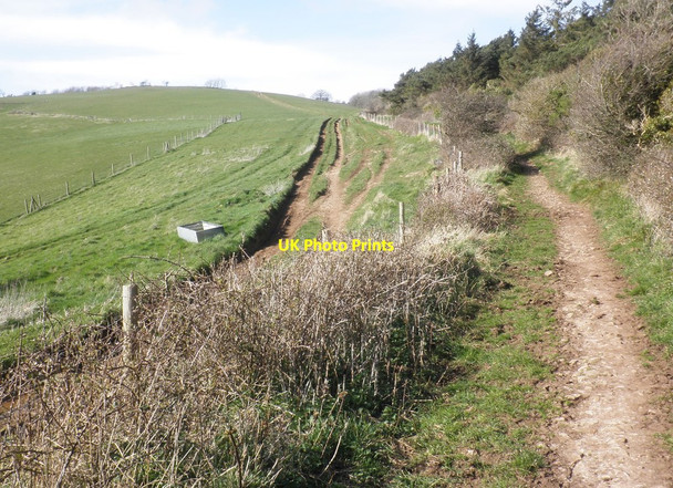 Photo 6"x4" Bridleway on Loxton Hill Christon c2014