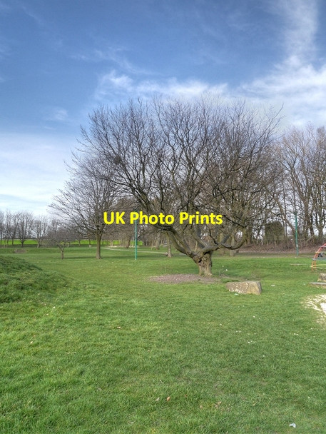 Photo 6"x4" Peel Park, Salford Manchester c2014