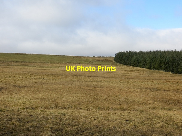 Photo 6"x4" Highlee Hill Chesters\/NT6210 c2014