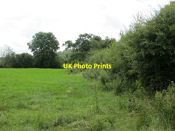 Photo 6"x4" Grassland near Kilrea Bovedy c2013
