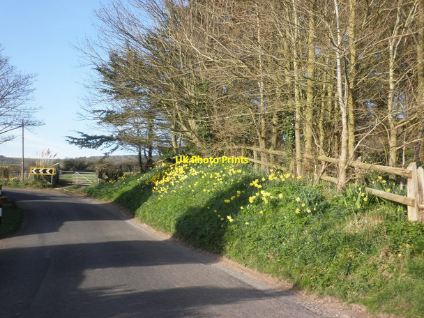 Photo 6"x4" Sharp bend on Shiplate Road Shiplate c2014