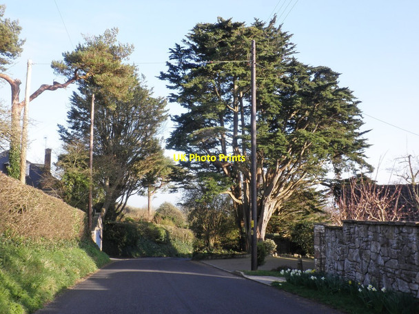 Photo 6"x4" Celtic Way, Bleadon Hill Purn c2014