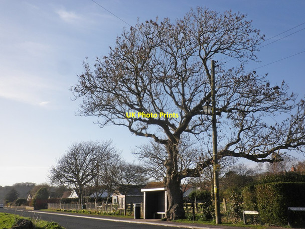 Photo 6"x4" Bus stop on Bleadon Road Bleadon c2014