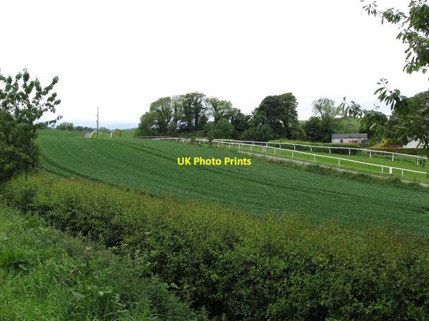 Photo 6"x4" Out in the country at Downpatrick Race Course Downpatrick c2011
