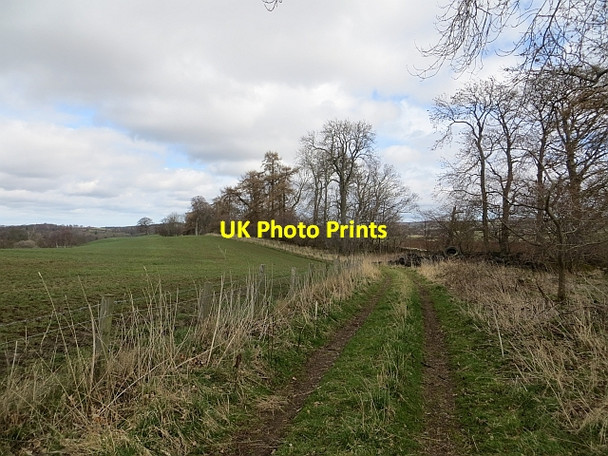 Photo 6"x4" Strip wood, Yester Gifford c2014