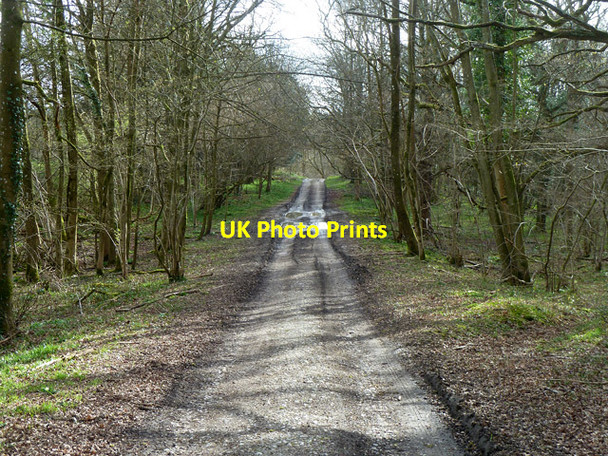 Photo 6"x4" Standinghall Lane Worth Abbey c2014