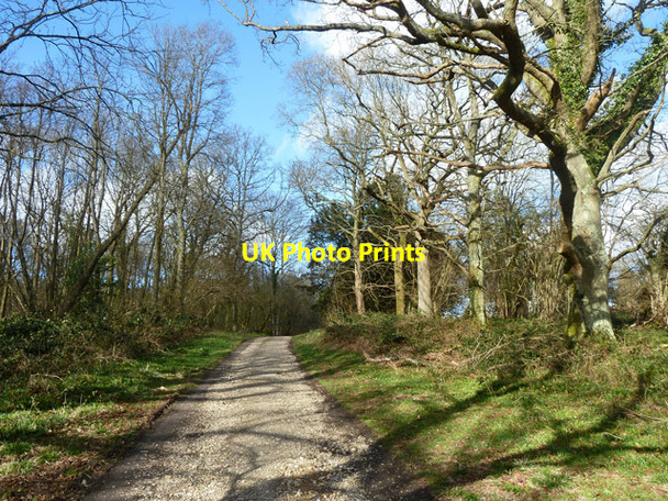 Photo 6"x4" Standinghall Lane Worth Abbey c2014