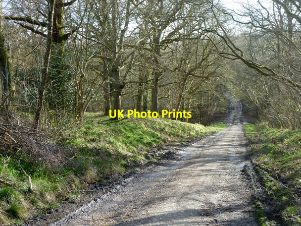 Photo 6"x4" Standinghall Lane Worth Abbey c2014