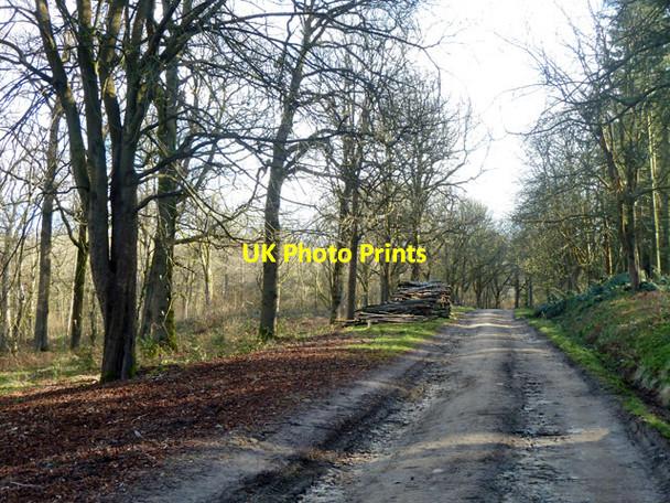 Photo 6"x4" Standinghall Lane Worth Abbey c2014