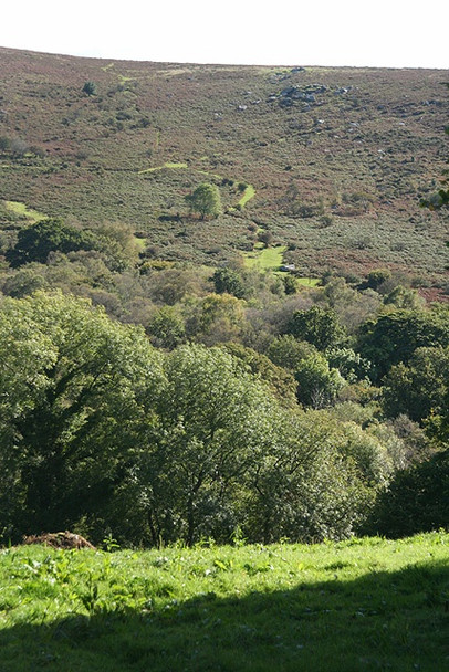 Photo 6"x4" Manaton: Becka Brook valley Water\/SX7580 c2008